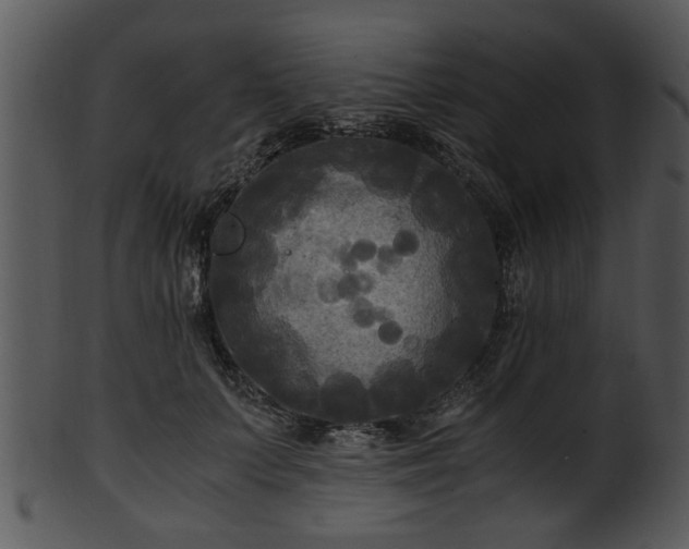 X0000101410703200807141131