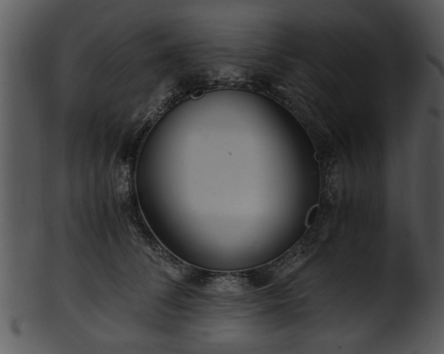 X0000101410708200807141131