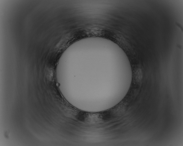 X0000101410709200807141131