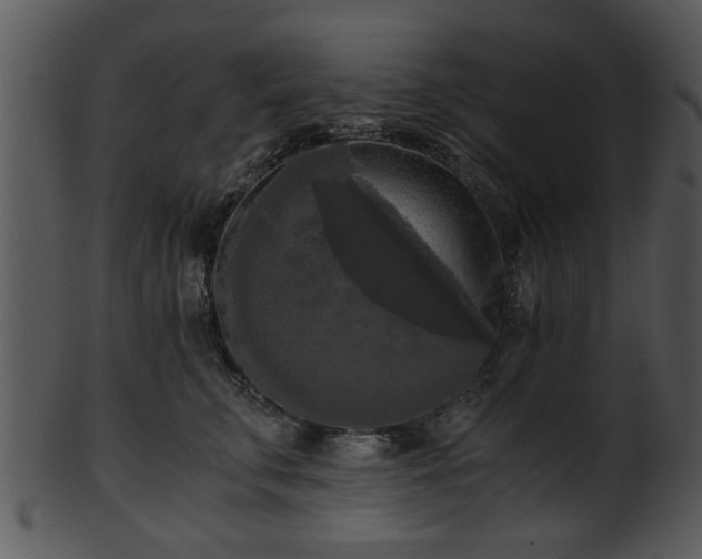 X0000101410711200807141131