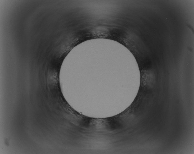 X0000101410713200807141131