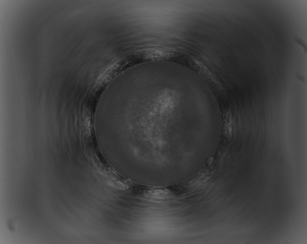 X0000101410716200807141131