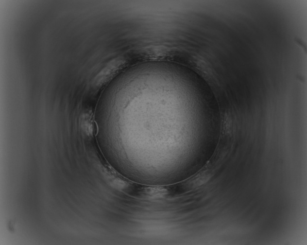 X0000101410719200807141131