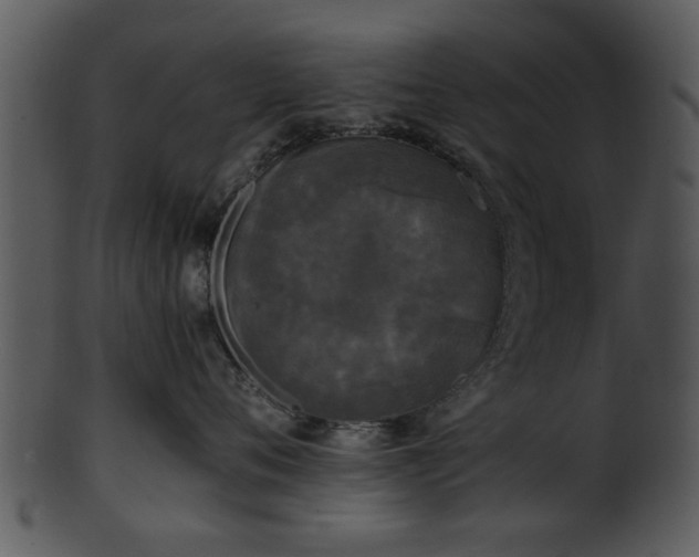 X0000101410720200807141131
