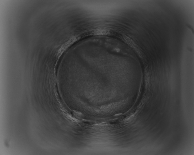 X0000101410721200807141130
