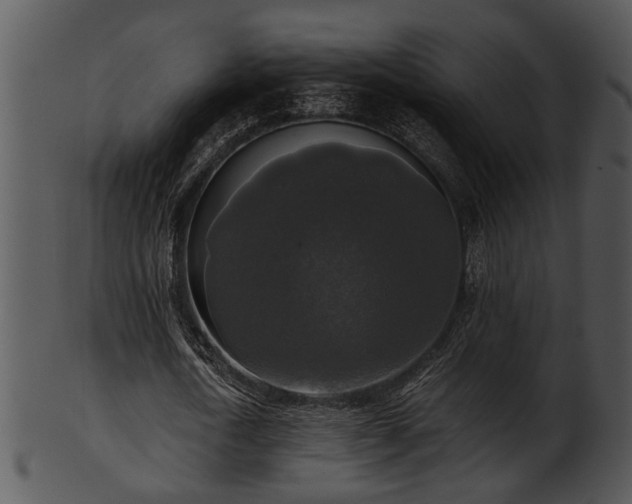 X0000101410722200807141130
