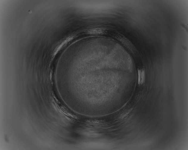 X0000101410723200807141130