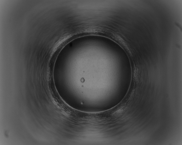 X0000101410724200807141130