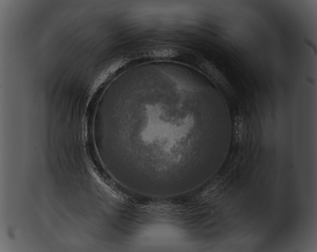 X0000101410726200807141130