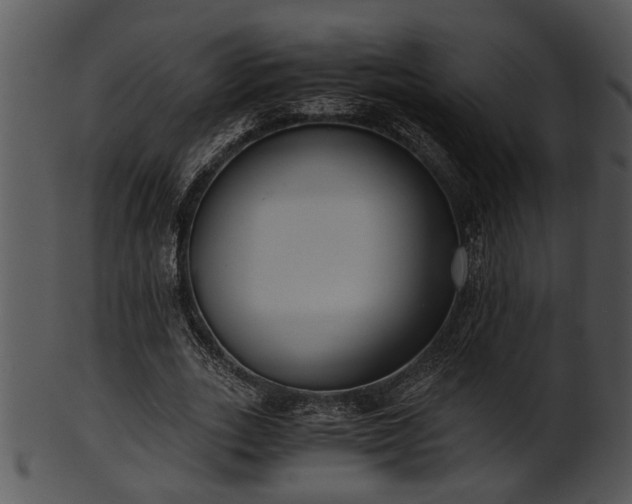 X0000101410727200807141130