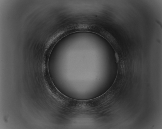 X0000101410728200807141130