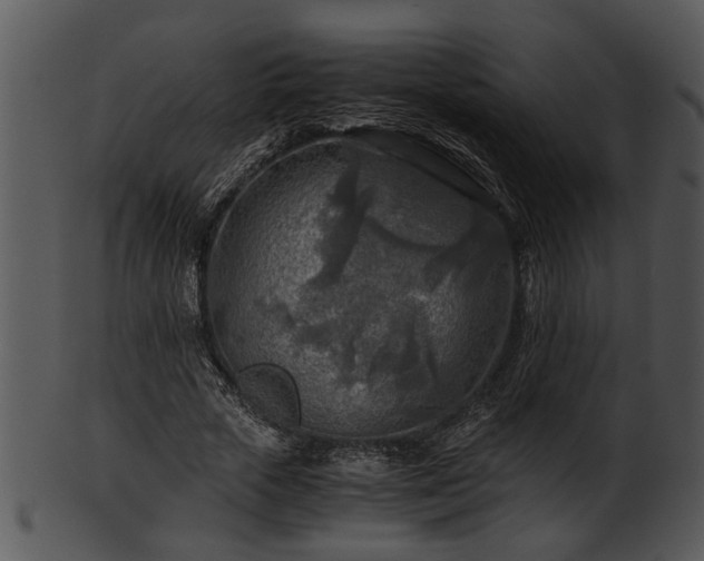 X0000101410729200807141130