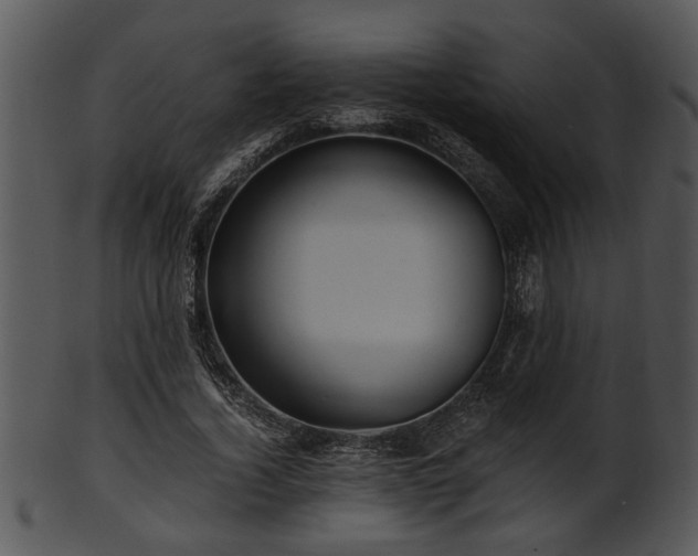X0000101410732200807141131