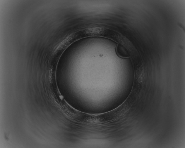 X0000101410735200807141131
