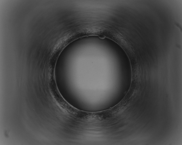 X0000101410736200807141131