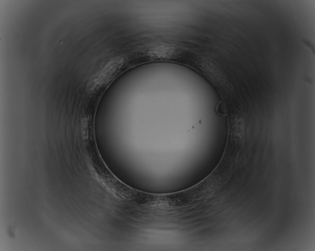 X0000101410738200807141131