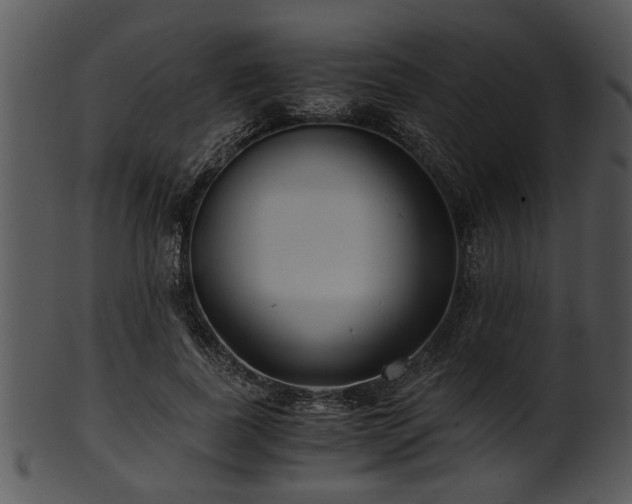 X0000101410739200807141131