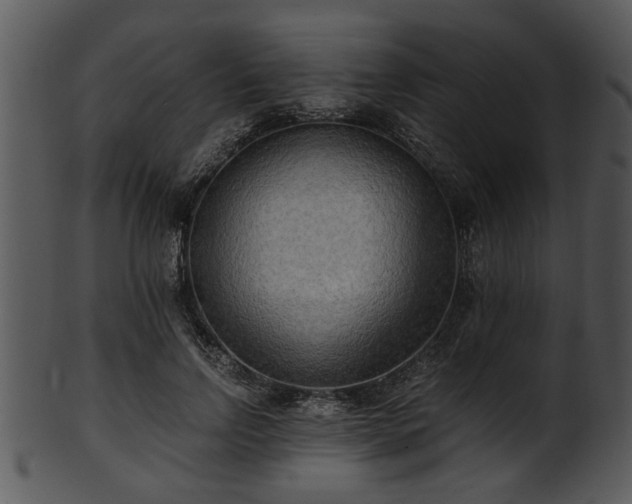 X0000101410742200807141131