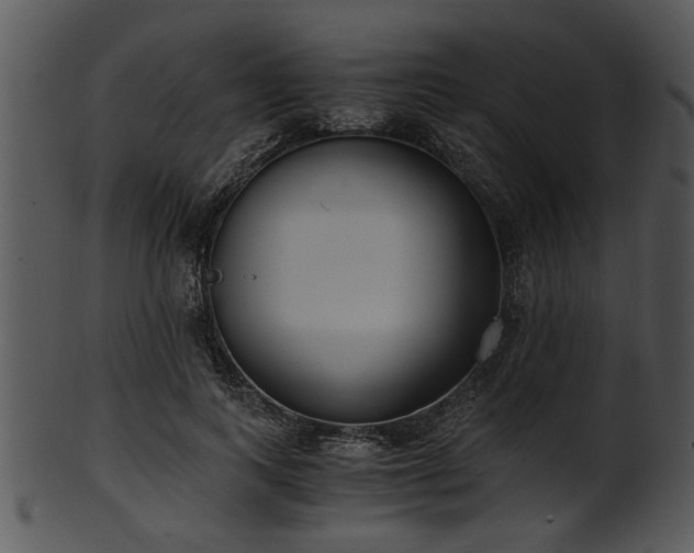 X0000101410743200807141131