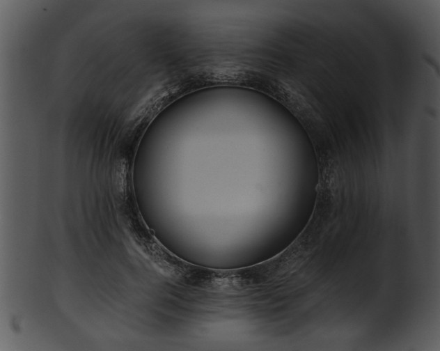 X0000101410744200807141131