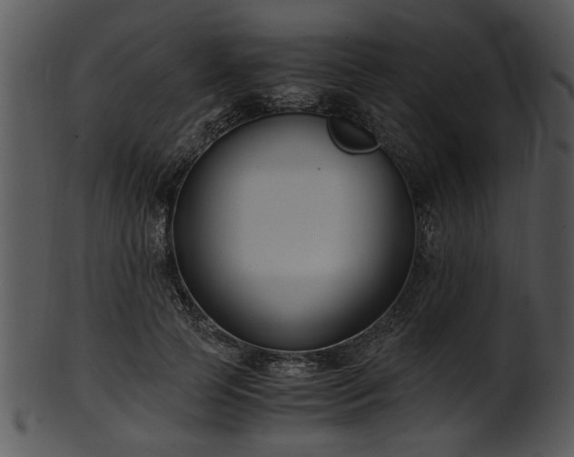 X0000101410745200807141131