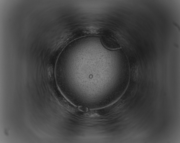 X0000101410747200807141131