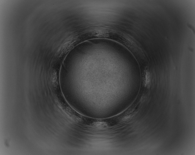 X0000101410748200807141131