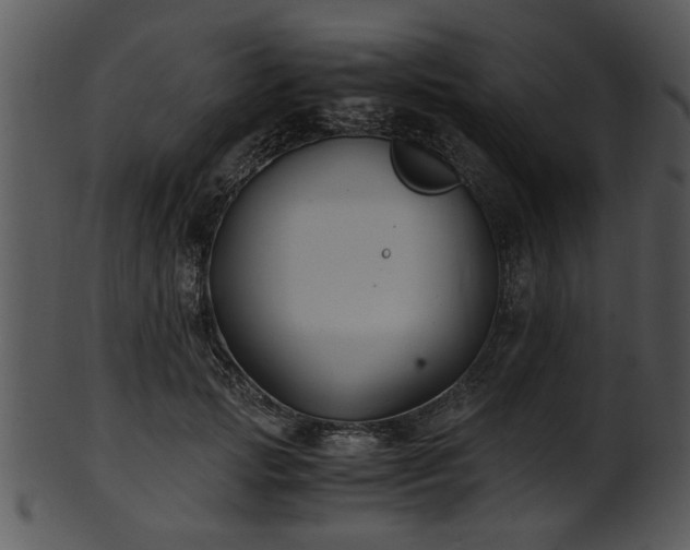 X0000101410749200807141131