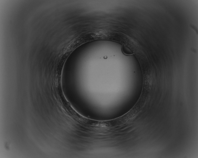 X0000101410751200807141131