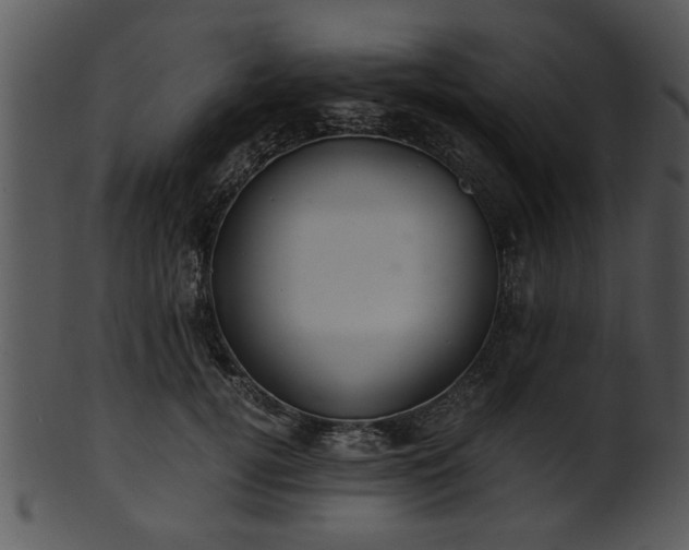 X0000101410752200807141131