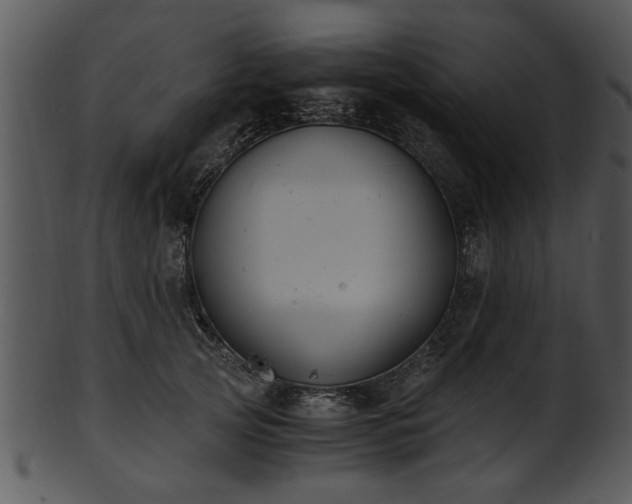 X0000101410753200807141131