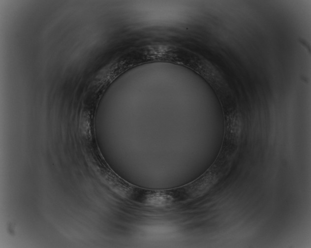 X0000101410754200807141131