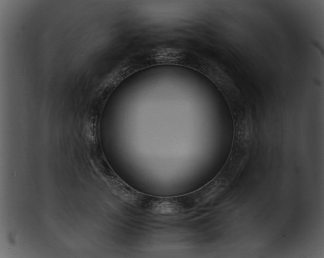 X0000101410755200807141131