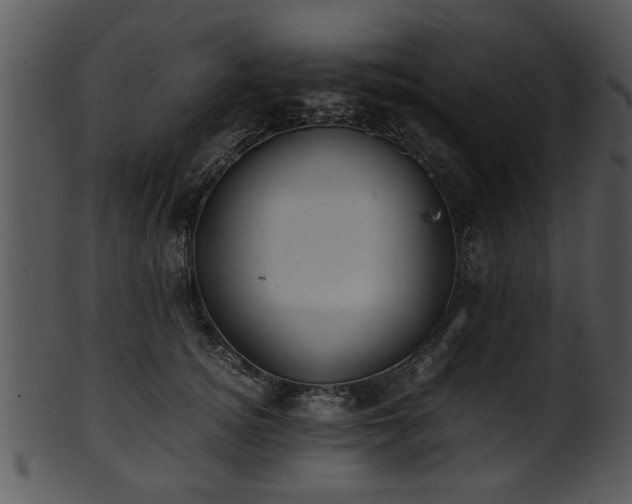 X0000101410756200807141131