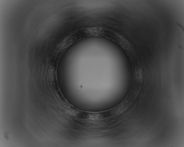 X0000101410757200807141131