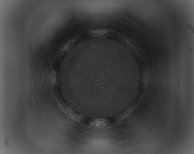 X0000101410758200807141131