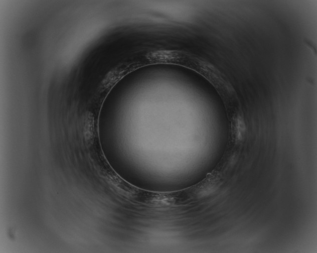 X0000101410760200807141131