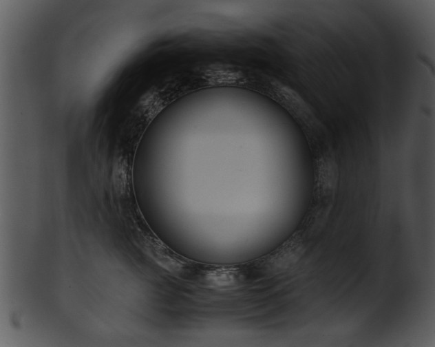 X0000101410761200807141131