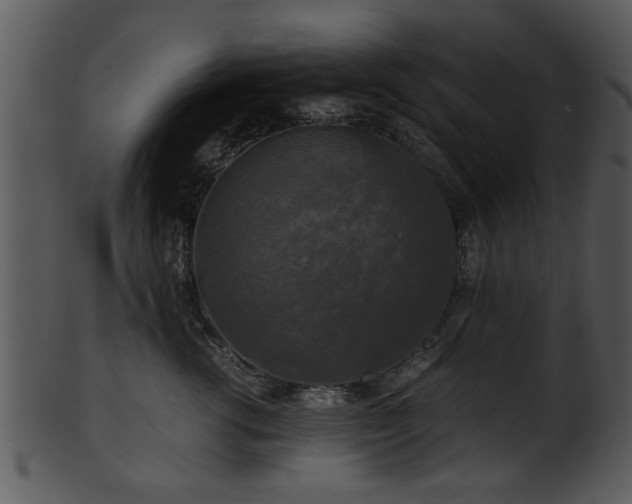 X0000101410762200807141131