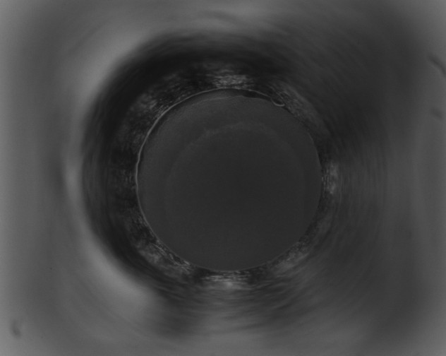 X0000101410763200807141131