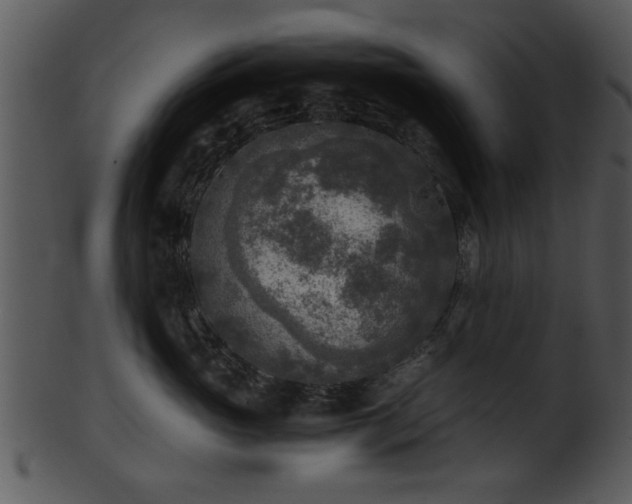 X0000101410765200807141131