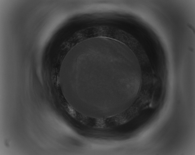 X0000101410766200807141131