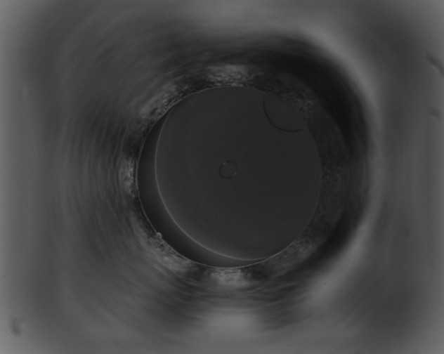 X0000101410767200807141131
