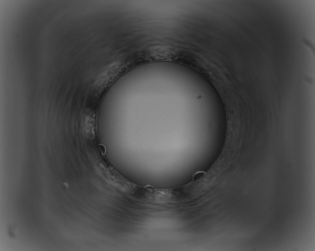 X0000101410768200807141131