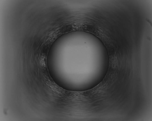 X0000101410770200807141130