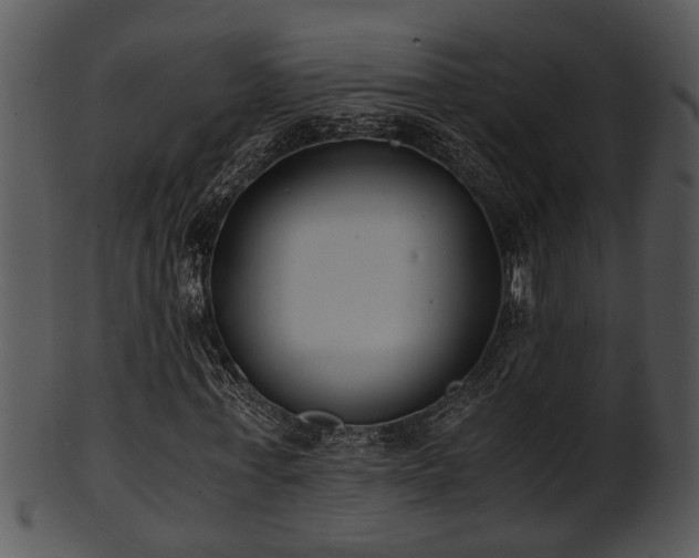 X0000101410771200807141130