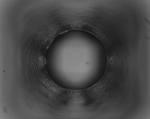 X0000101410772200807141130