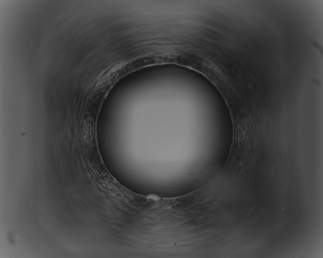 X0000101410773200807141130