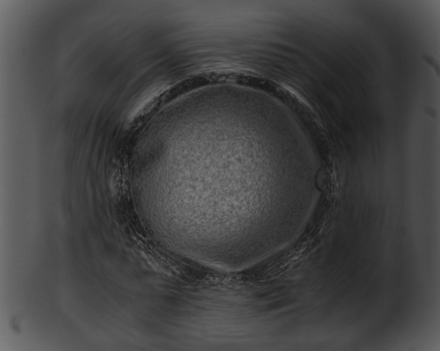 X0000101410775200807141130