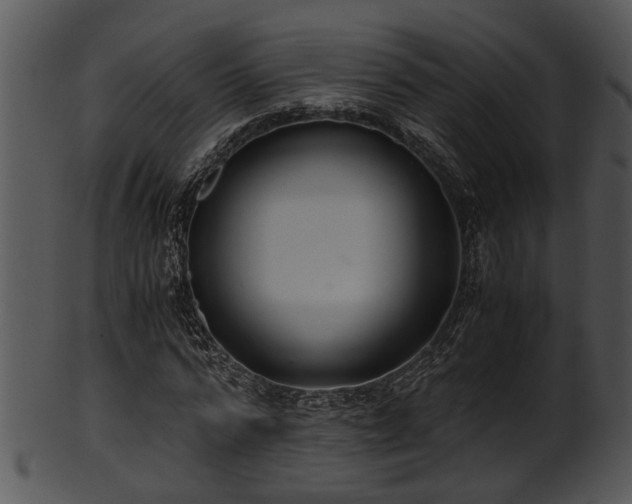 X0000101410776200807141130